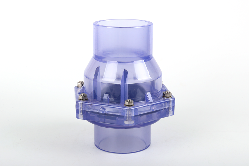 静海透明翻板式止回阀